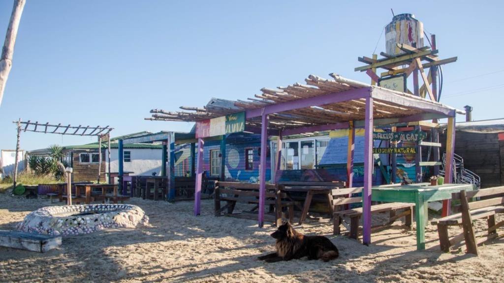 Lobo Hostel Bar كابو بولونيو المظهر الخارجي الصورة