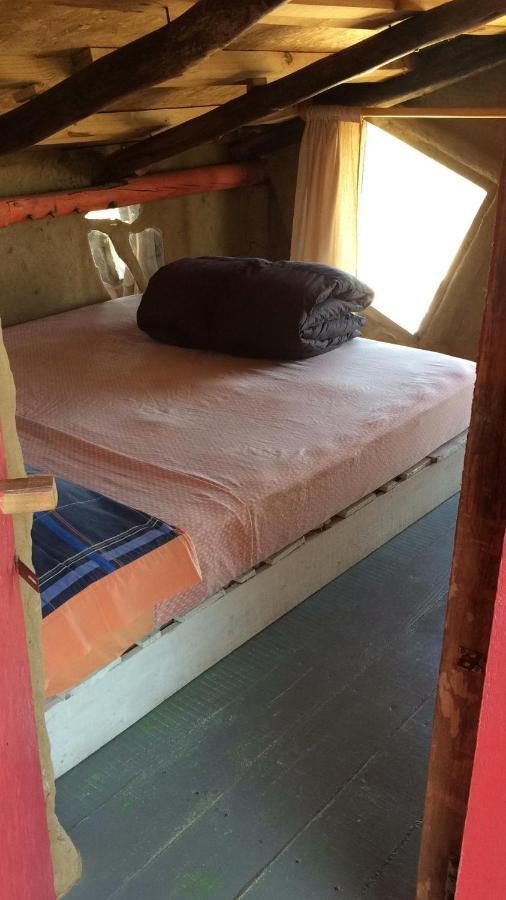 Lobo Hostel Bar كابو بولونيو المظهر الخارجي الصورة